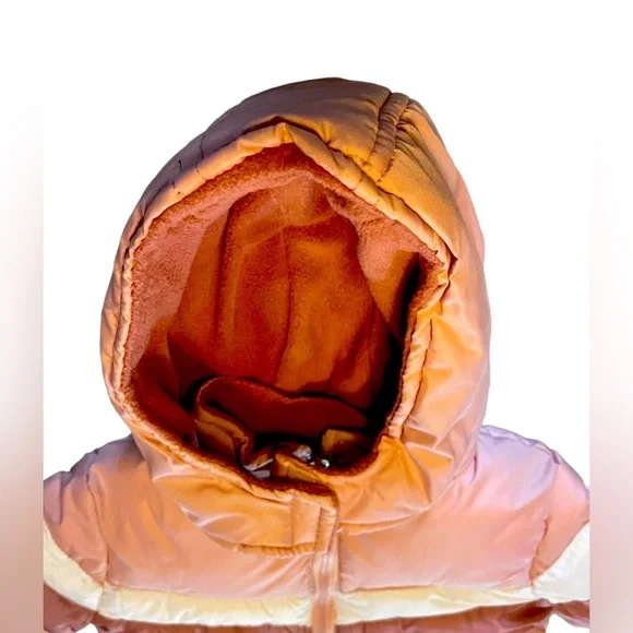 Toddler Girls’ 🌸Pink Platinum🌸 Winter Coat size 24M kids’ winter warm - Picture 3 of 14